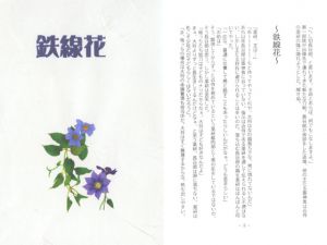 [RJ221450] 鉄線花