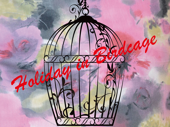 Holiday in Birdcage