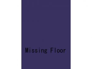 [RJ233824] Missing Floor