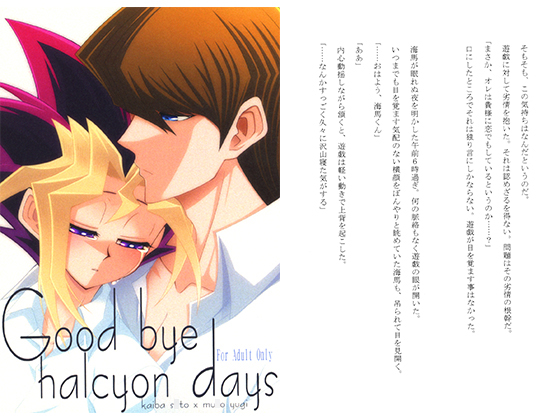 Good bye halcyon days