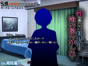 [RJ249256] (レベルエス) 性知識のない美少年を喰い散らかした【S度:●●●〇〇〇〇〇〇〇】