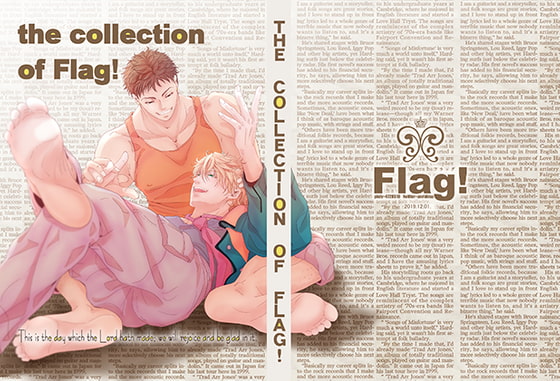 the collection of flag!