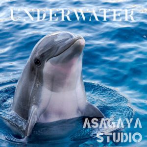 [RJ341436] (ASAGAYA STUDIO) 純正率 UNDERWATER 海獣 唯一無二 本物の音 癒しのアンビエントミュージック