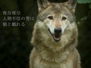 [RJ368647] (ダラナ)
夜な夜な人間不信の男は狼と戯れる