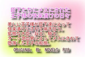 [RJ382216] (彩愛)
臣下たちにメスにされた王子様の快楽漬けの日々