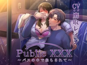 [RJ01069092] (みんなで翻訳)
【簡体中文版】Public XXX ～バスの中で焦らされて～