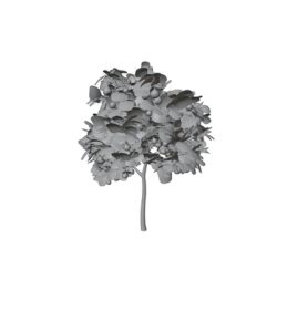 [RJ01124920] (3dcg)
【3d素材モデル】実のなった木