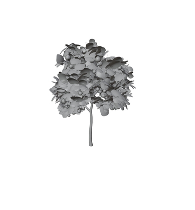 【3d素材モデル】実のなった木