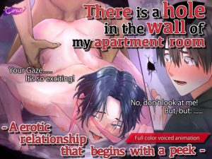 [RJ01165885] (CAPURI)
There is a hole in the wall of my apartment room – A erotic relationship that begins with a peek