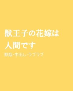 [RJ01203247] (ほりのや)
獣王子の花嫁は人間です