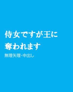 [RJ01207314] (ほりのや)
侍女ですが王に奪われます