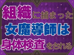 [RJ01239494] (お姫様の休日) 
組織に捕まった女魔導師は身体検査をされる