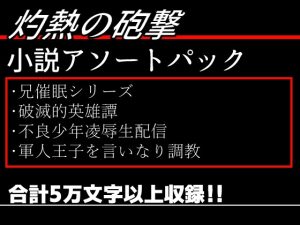 [RJ01251948] (灼熱の砲撃) 
灼熱の砲撃小説アソートパックVol.01