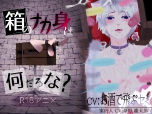 [RJ01271254] (ぷれい☆る～む) 
箱のナカ身は何だろな?～猫～