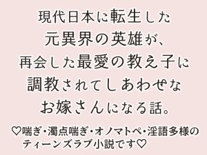 [RJ01279458] (ストレンジ・レイディ) 
転生しても病んだ教え子からは逃げられなかった元異界の英雄のはなし。