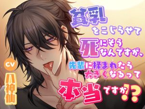 [RJ01274227] (シトラスぱらだいす)         【7日間限定330円】貧乳をこじらせて死にそうなんですが、先輩に揉まれたら大きくなるって本当ですか!?