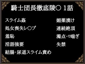 [RJ01286833] (にぼしやメリー) 
贄騎士モーリスの献身～騎士団長徹底凌〇～(1)