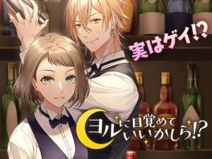 [RJ01293945] (コミノ) 
【乙女恋愛ゲーム】ヨルに目覚めていいかしら!?