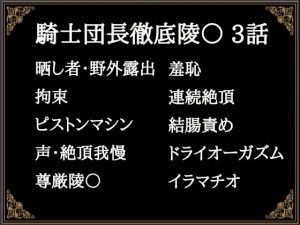 [RJ01293989] (にぼしやメリー) 
贄騎士モーリスの献身～騎士団長徹底凌〇～(3)