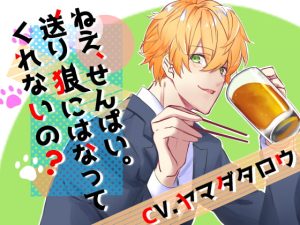 [RJ01248001] (みんなで翻訳) 
【簡体中文版】ねえ、せんぱい。送り狼にはなってくれないの?