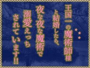 [RJ01312140] (瑚間木ほのか) 
王国一の魔術師様と結婚したら、夜な夜な魔術で溺愛えっちされています‼