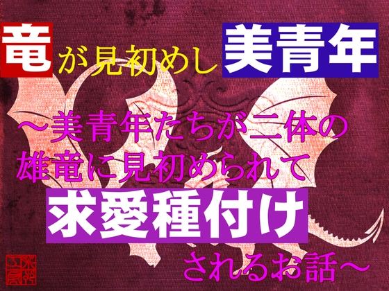 『竜が見初めし美青年』～美青年が二体の雄竜に見初められて求愛種付けされるお話～