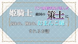 [RJ01305897] (わんこそば) 
姫騎士、敵国のドSで愛情表現が歪んだ策士に囚われ、囲われ、おま〇こ嫁にされるお話