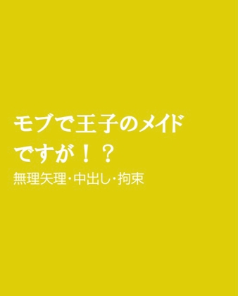 モブで王子のメイドですが!?