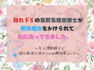 [RJ01329514] (我らんどう) 
隠れドSの寡黙系護衛騎士が精神魔法をかけられて私に迫ってきました。  〜年上護衛騎士と強引無理矢理からの和解溺愛エッチ〜