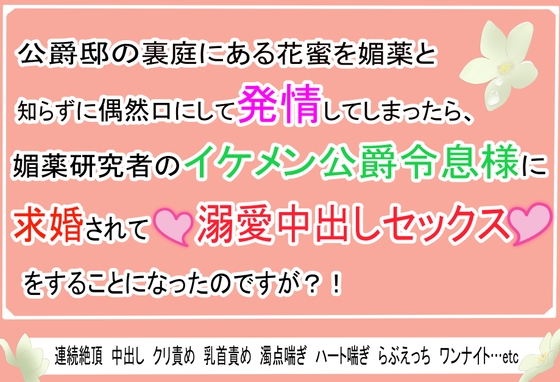 公爵邸の裏庭にある花蜜を媚薬と知らずに偶然口にして発情してしまったら、媚薬研究者のイケメン公爵令息様に求婚されて溺愛中出しセックスをすることになったのですが⁈