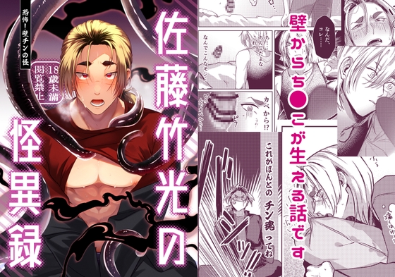 佐藤竹光の怪異録 ～恐怖!壁チンの怪～