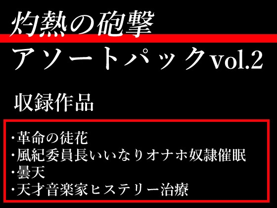 灼熱の砲撃小説アソートパックVol.02