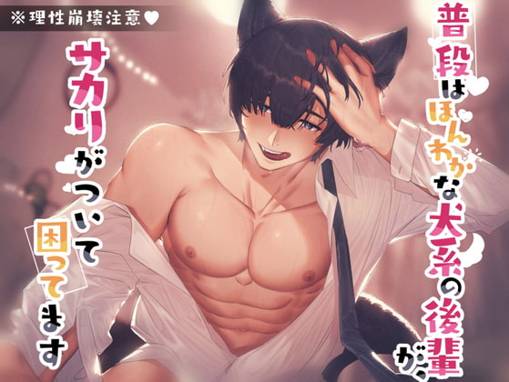 【繁体中文版】【CV:風見灰児】【みんないつもありがとう記念作品】普段はほんわかな犬系の後輩が、サカリがついて困ってます