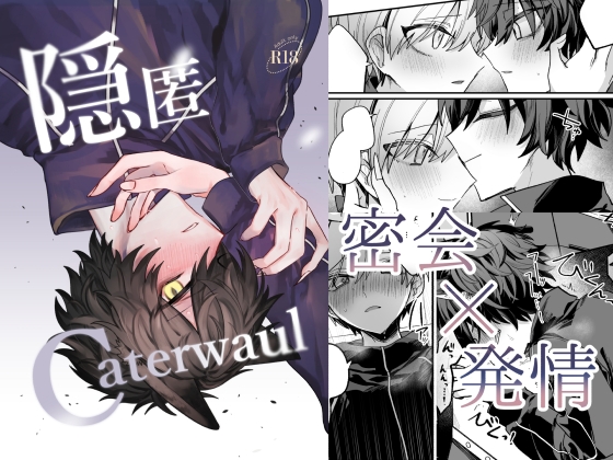 【韓国語版】隠匿Caterwaul