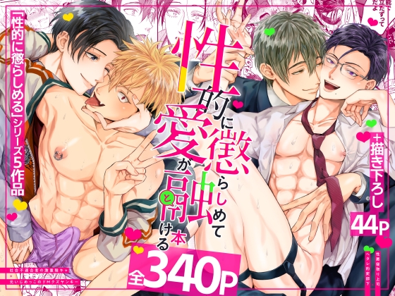性的に懲らしめて愛が融ける本【せいこらシリーズ総集編】