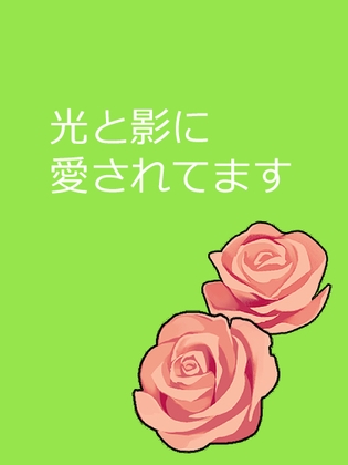 光と影に愛されてます!?