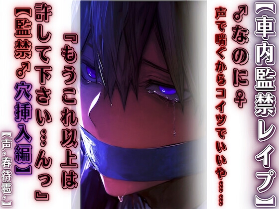 【車内監禁レ○プ】【男性受け】『もうこれ以上は許して下さい…んっ♡』♂なのに♀声で喘ぐからコイツでいいや……【監禁♂穴挿入編】春待雹リアルすぎて辛いバイノーラル
