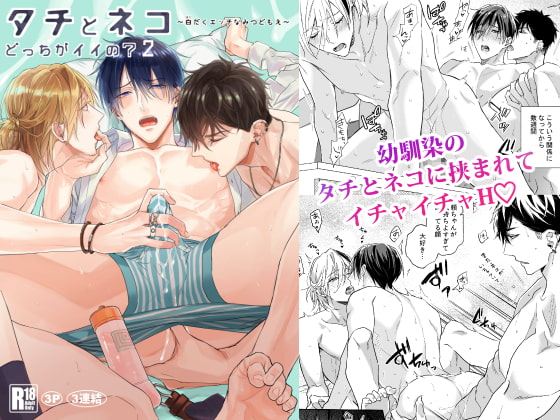 【フランス語版】タチとネコどっちがイイの?2～白だくエッチなみつどもえ～