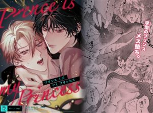 [RJ01370644] (みんなで翻訳) 
【繁体中文版】プリンス イズ マイ プリンセス