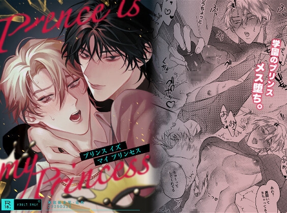 【簡体中文版】プリンス イズ マイ プリンセス