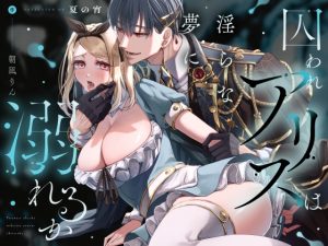 [RJ01379063] (夏の宵) 
囚われアリスは淫らな夢に溺れるか