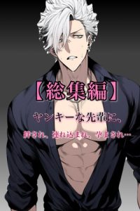 [RJ01389548] (わんこそば) 
【総集編】ヤンキーな先輩に絆され、オナホにされ、堕ちる話