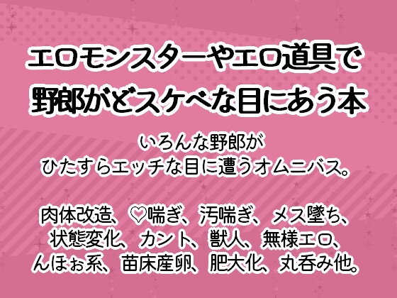 野郎がエロモンスターやエロアイテムでどスケベな目にあう本
