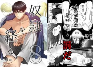 [RJ01353963] (みんなで翻訳) 
【韓国語版】奴○を経る8