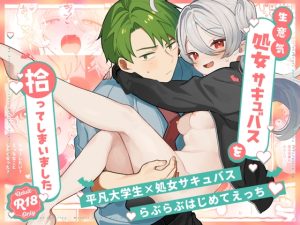 [RJ01400915] (ちゃかまる屋さん) 
生意気処女サキュバスを拾ってしまいました