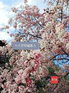 [RJ01402667] (空りす) 
十八禁短編集5