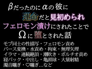 [RJ01407149] (歪んだ愛の標本箱) 
βだったのにαの彼の運命だと見初められフェロモン漬けにされたことでΩに堕とされた話