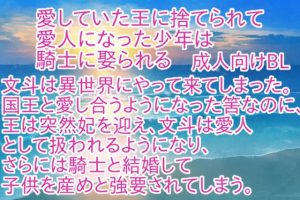 [RJ01409915] (彩愛) 
愛していた王に捨てられて愛人になった少年は騎士に娶られる