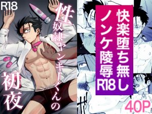 [RJ01381302] (みんなで翻訳) 
【韓国語版】性奴○ヤンキーくんの初夜