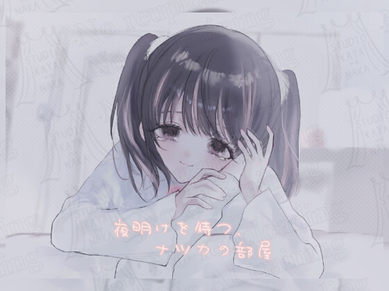 夜明けを待つ、ナツカの部屋